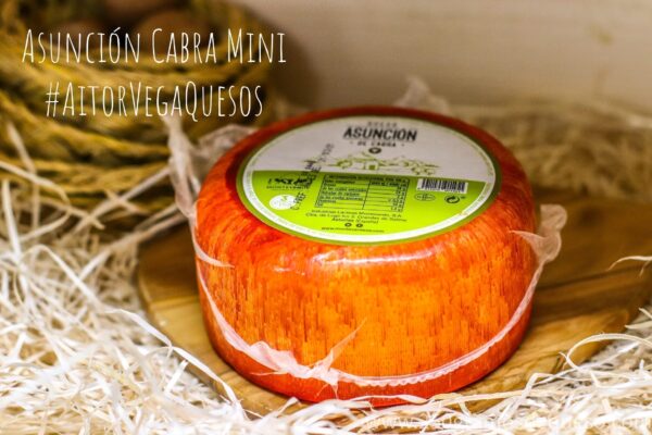 Queso Asunción Cabra Mini