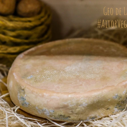 Queso Geo de Lazana