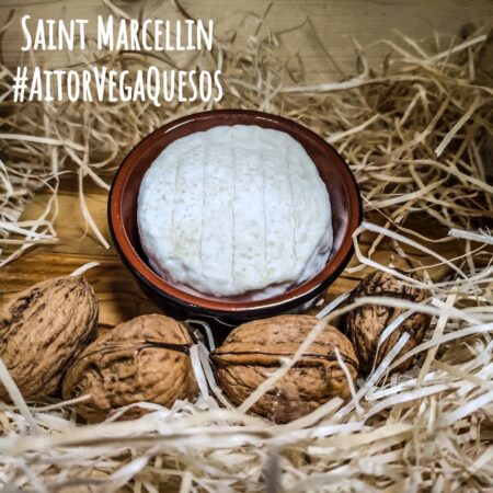 Queso Saint Marcellin