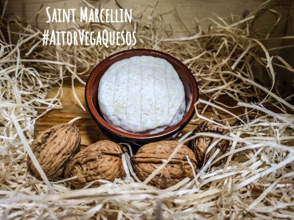 Queso Saint Marcellin