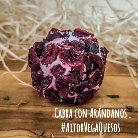 Queso Mini Cabra con Arándanos