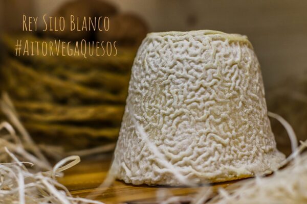 Rey Silo Blanco