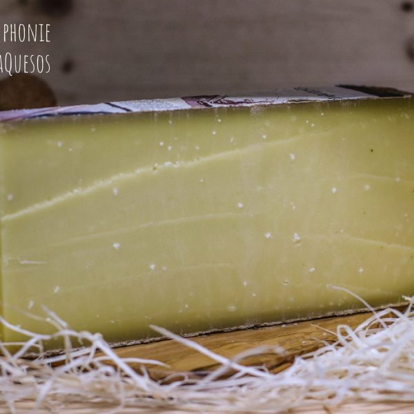 Queso Comté DOP 30 Meses Symphonie