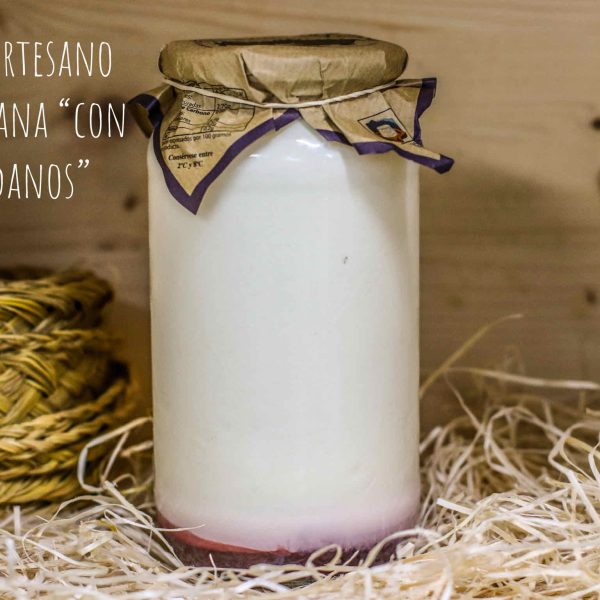 Yogur Artesano La Saregana "con Arándanos" Grande