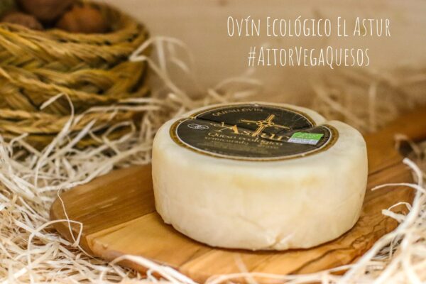 Queso Ovín Ecológico El Astur