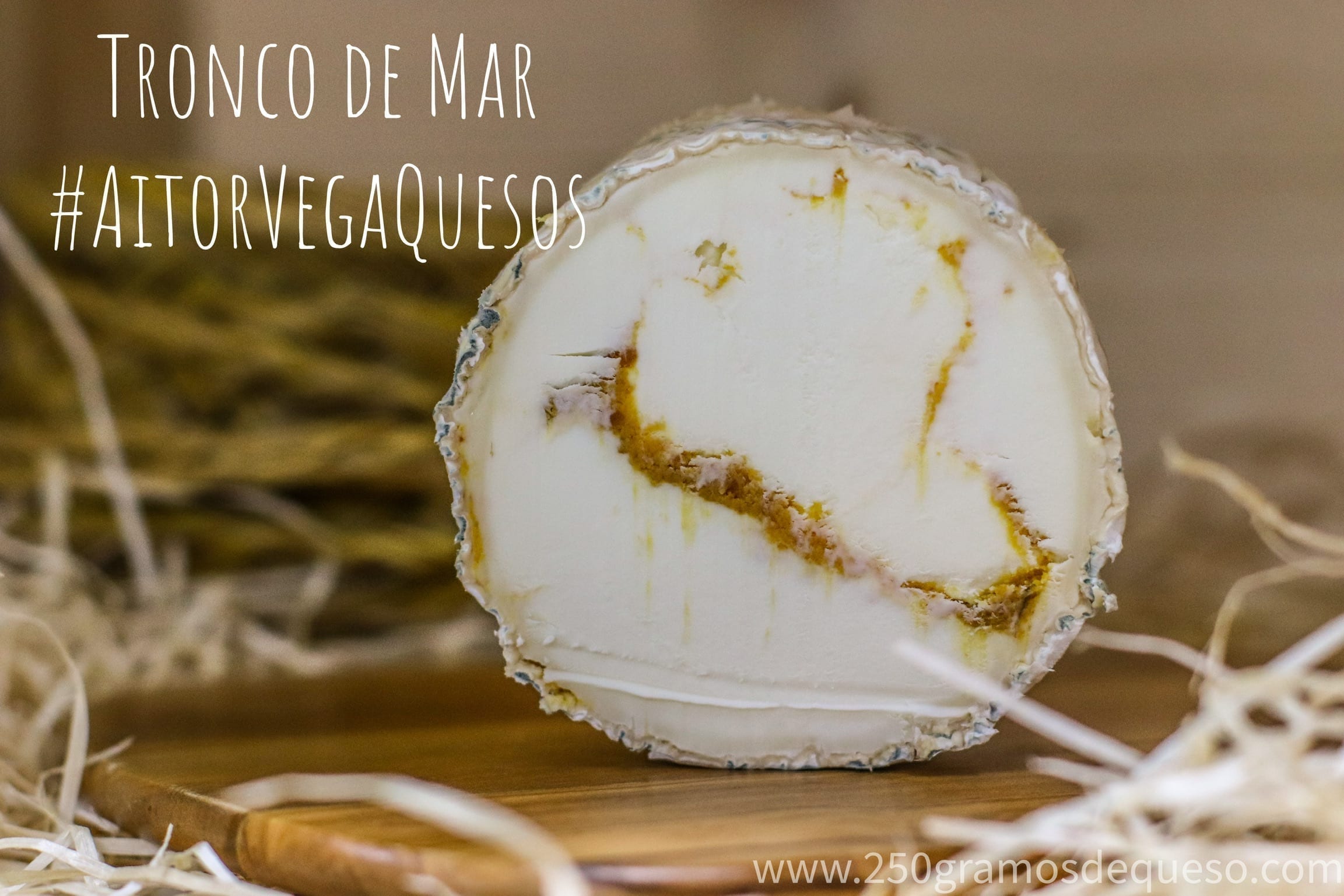 Queso Tronco de Mar