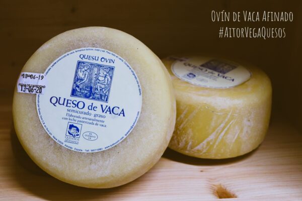 Queso Ovin Vaca Grande Afinado