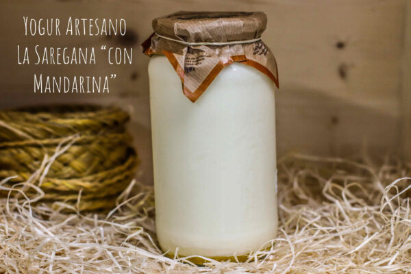 Yogur Artesano La Saregana "con Mandarina" Grande