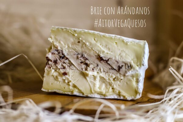 Queso Brie Arándanos