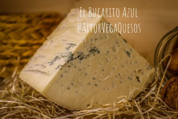 Queso El Bucarito Azul