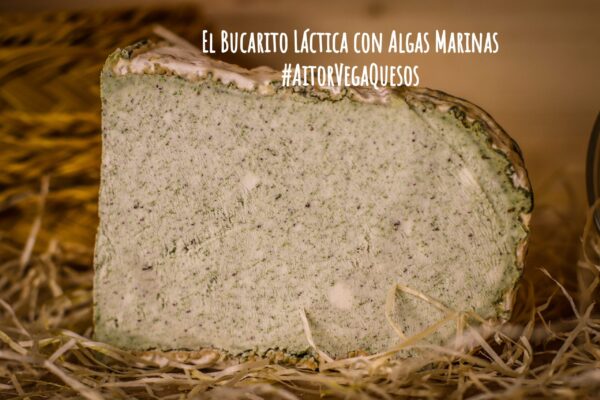 Queso El Bucarito Lactica con Algas Marinas