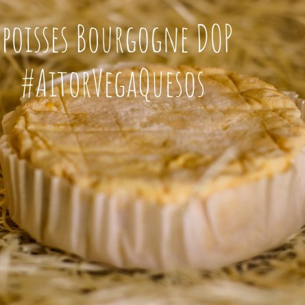 Queso Epoisses Bourgogne DOP
