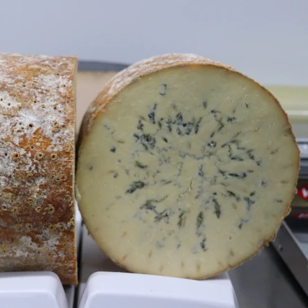 Queso Stilton