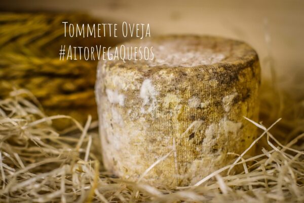 Queso Tommette Oveja
