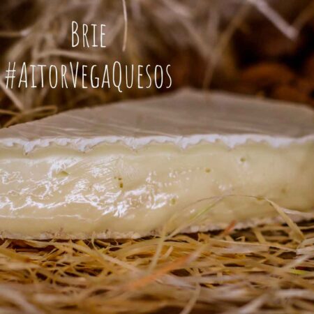 Queso Brie