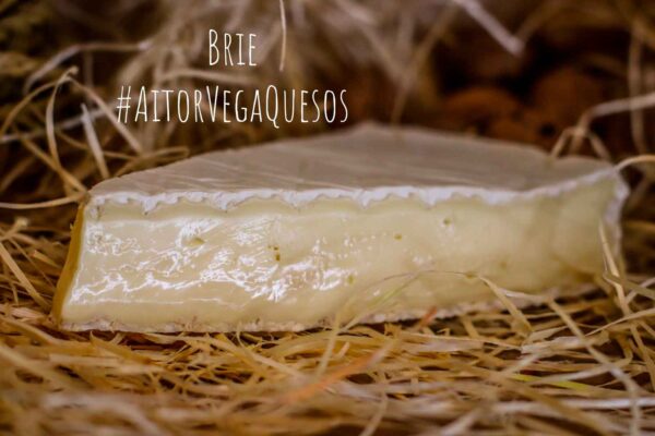 Queso Brie