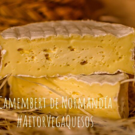 Queso Camembert Normandia