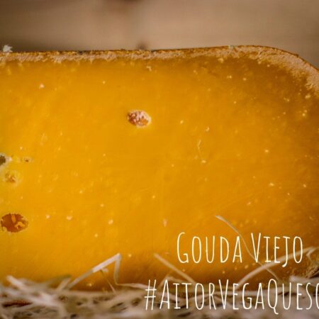 Gouda Viejo