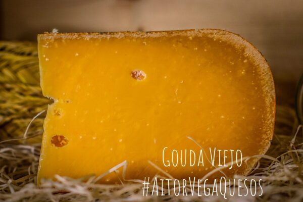 Gouda Viejo