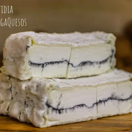 Queso Olavidia - Mejor Queso del Mundo en el World Cheese Awards 2021