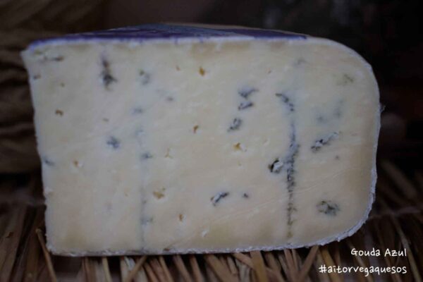 Queso Gouda Azul