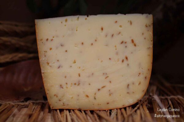 Queso Leyden Comino de Países Bajos