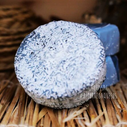 ALT: Queso Cabrissac de cabra pieza entera con corteza de ceniza y moho blanco